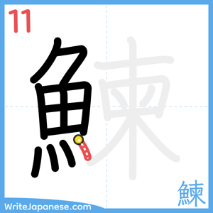 How to write "鰊" - stroke 11