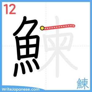 How to write "鰊" - stroke 12