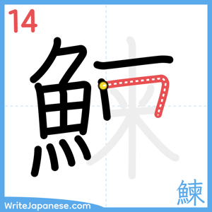 How to write "鰊" - stroke 14