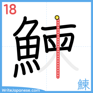 How to write "鰊" - stroke 18