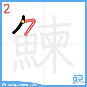 How to write "鰊" - stroke 2