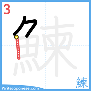 How to write "鰊" - stroke 3