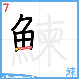How to write "鰊" - stroke 7