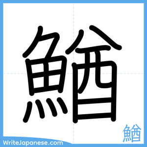 How to write "鰌" - complete stroke order