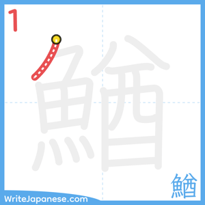 How to write "鰌" - stroke 1