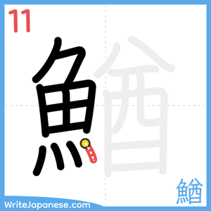 How to write "鰌" - stroke 11