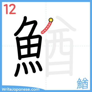 How to write "鰌" - stroke 12