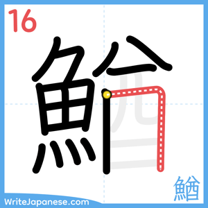 How to write "鰌" - stroke 16