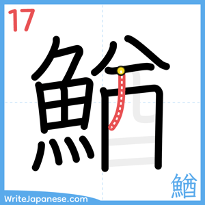 How to write "鰌" - stroke 17