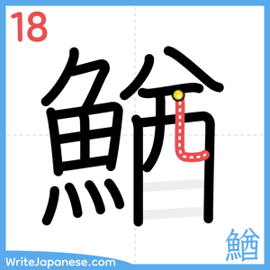 How to write "鰌" - stroke 18