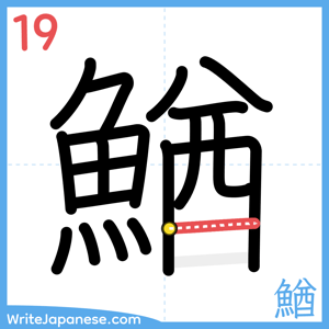 How to write "鰌" - stroke 19