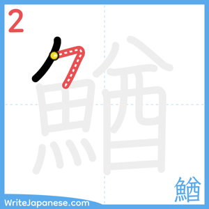 How to write "鰌" - stroke 2
