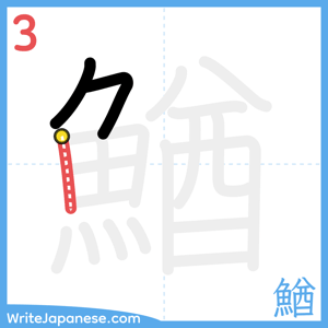 How to write "鰌" - stroke 3