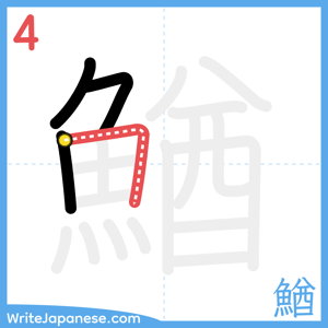 How to write "鰌" - stroke 4