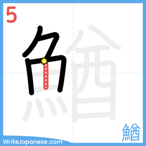 How to write "鰌" - stroke 5