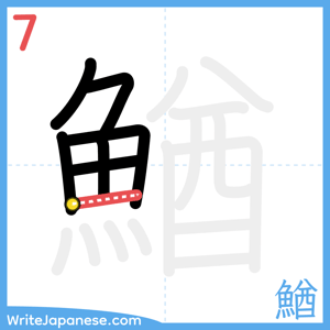 How to write "鰌" - stroke 7