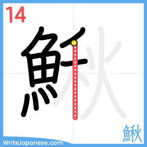 How to write "鰍" - stroke 14