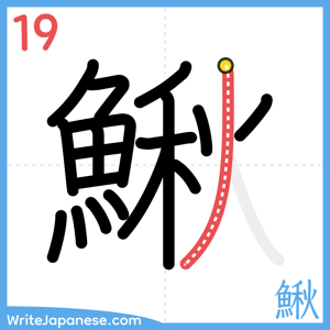 How to write "鰍" - stroke 19