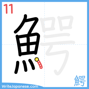 How to write "鰐" - stroke 11