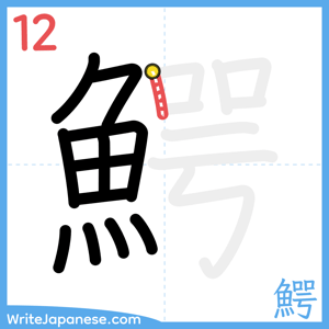How to write "鰐" - stroke 12