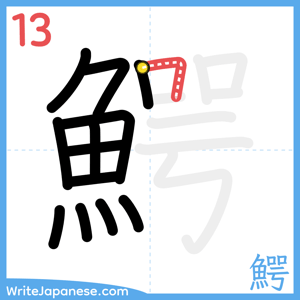 How to write "鰐" - stroke 13