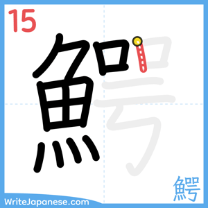 How to write "鰐" - stroke 15