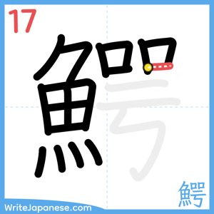 How to write "鰐" - stroke 17