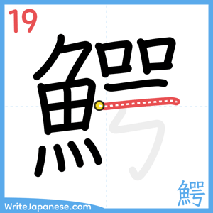How to write "鰐" - stroke 19