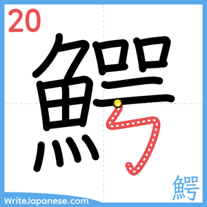 How to write "鰐" - stroke 20