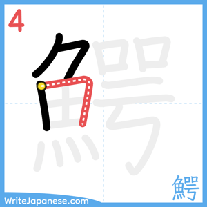 How to write "鰐" - stroke 4