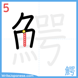 How to write "鰐" - stroke 5