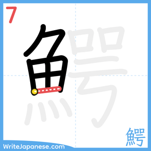 How to write "鰐" - stroke 7