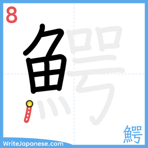 How to write "鰐" - stroke 8