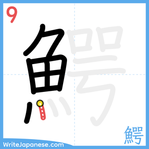 How to write "鰐" - stroke 9