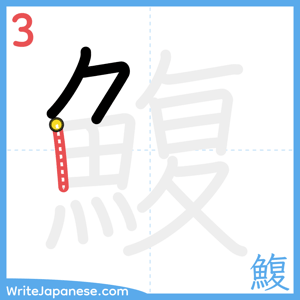 How to write "鰒" - stroke 3