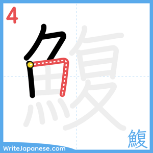 How to write "鰒" - stroke 4