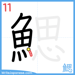 How to write "鰓" - stroke 11