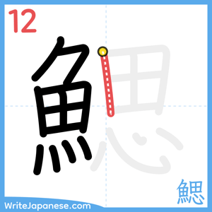 How to write "鰓" - stroke 12