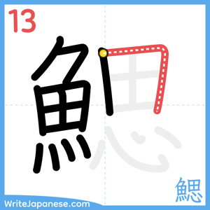 How to write "鰓" - stroke 13