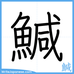 How to write "鰔" - complete stroke order