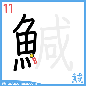 How to write "鰔" - stroke 11