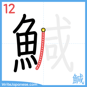 How to write "鰔" - stroke 12