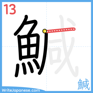 How to write "鰔" - stroke 13