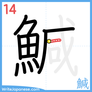 How to write "鰔" - stroke 14