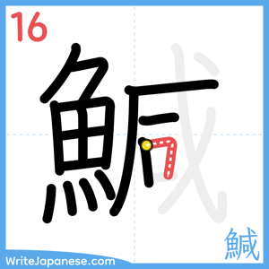 How to write "鰔" - stroke 16