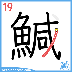 How to write "鰔" - stroke 19