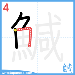 How to write "鰔" - stroke 4