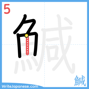 How to write "鰔" - stroke 5
