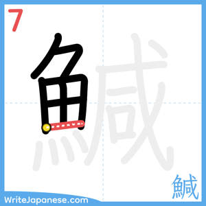 How to write "鰔" - stroke 7