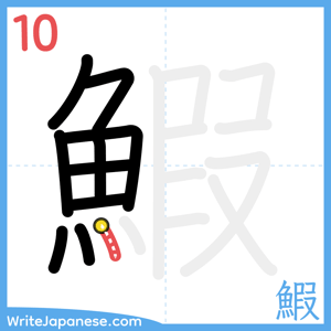 How to write "鰕" - stroke 10